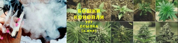 гидропоника Осинники