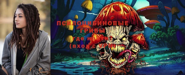 не бодяженный Осташков