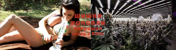 гидропоника Осинники